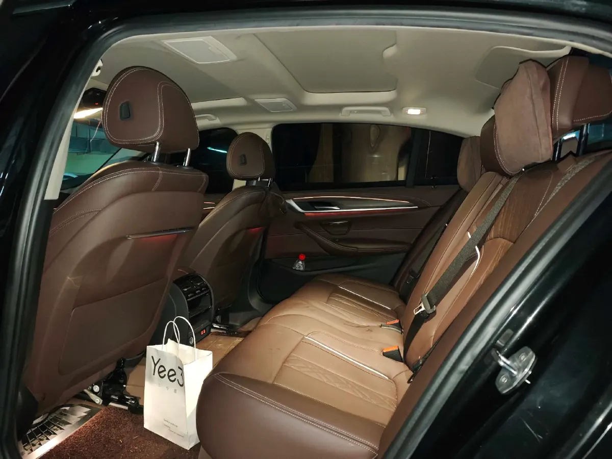 2020 BMW 5 Series 2.0T 252HP L4 8AT,autocango,china used car exporter,china ev exporter,chinese used car exporter,chinese used ev exporter