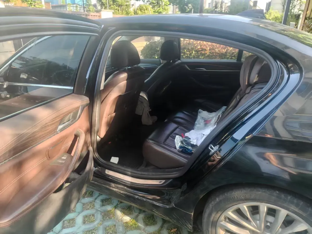 2020 BMW 5 Series 2.0T 184HP L4 8AT PHEV 17.7KWH,autocango,china used car exporter,china ev exporter,chinese used car exporter,chinese used ev exporter