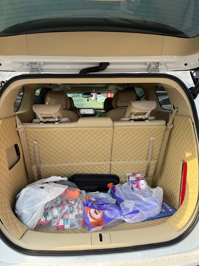 2021 Buick GL8 2.0T 237HP L4 9AT,autocango,china used car exporter,china ev exporter,chinese used car exporter,chinese used ev exporter