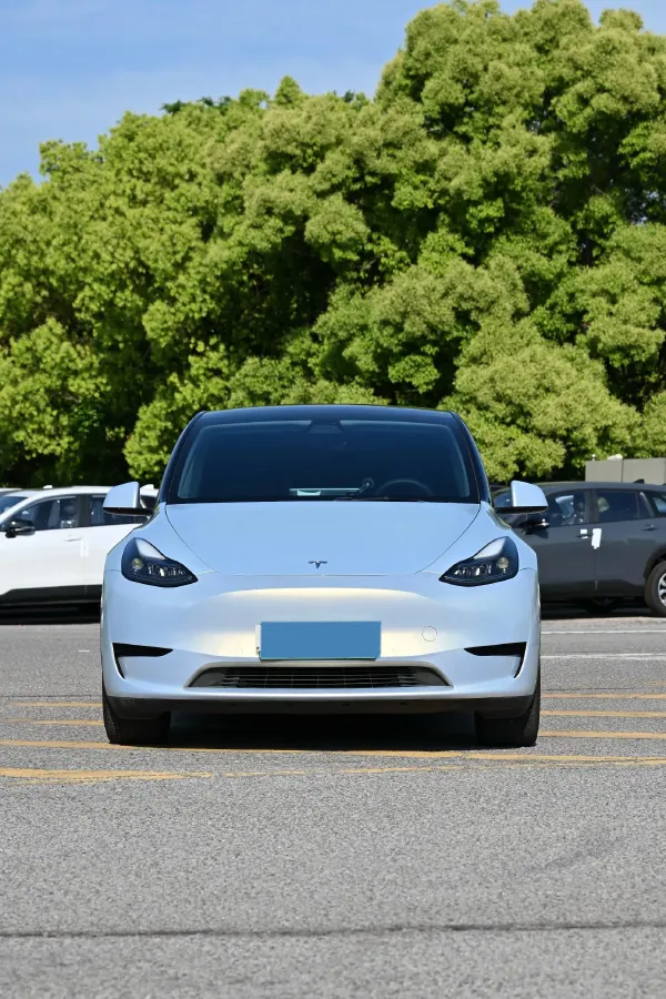 2022 Tesla Model Y BEV 60KWH,autocango,china used car exporter,china ev exporter,chinese used car exporter,chinese used ev exporter