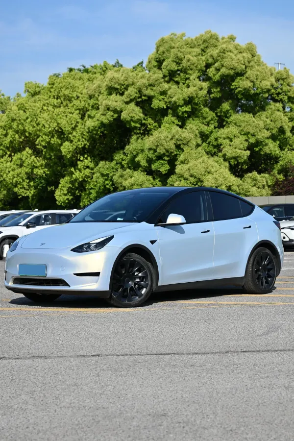 2022 Tesla Model Y BEV 60KWH,autocango,china used car exporter,china ev exporter,chinese used car exporter,chinese used ev exporter