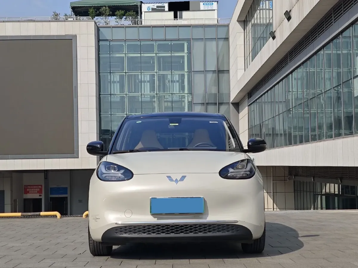 2023 WuLing BinGuo BEV 31.9KWH,autocango,china used car exporter,china ev exporter,chinese used car exporter,chinese used ev exporter