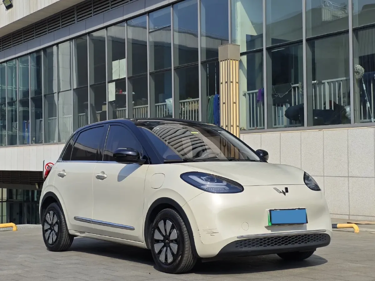 2023 WuLing BinGuo BEV 31.9KWH,autocango,china used car exporter,china ev exporter,chinese used car exporter,chinese used ev exporter