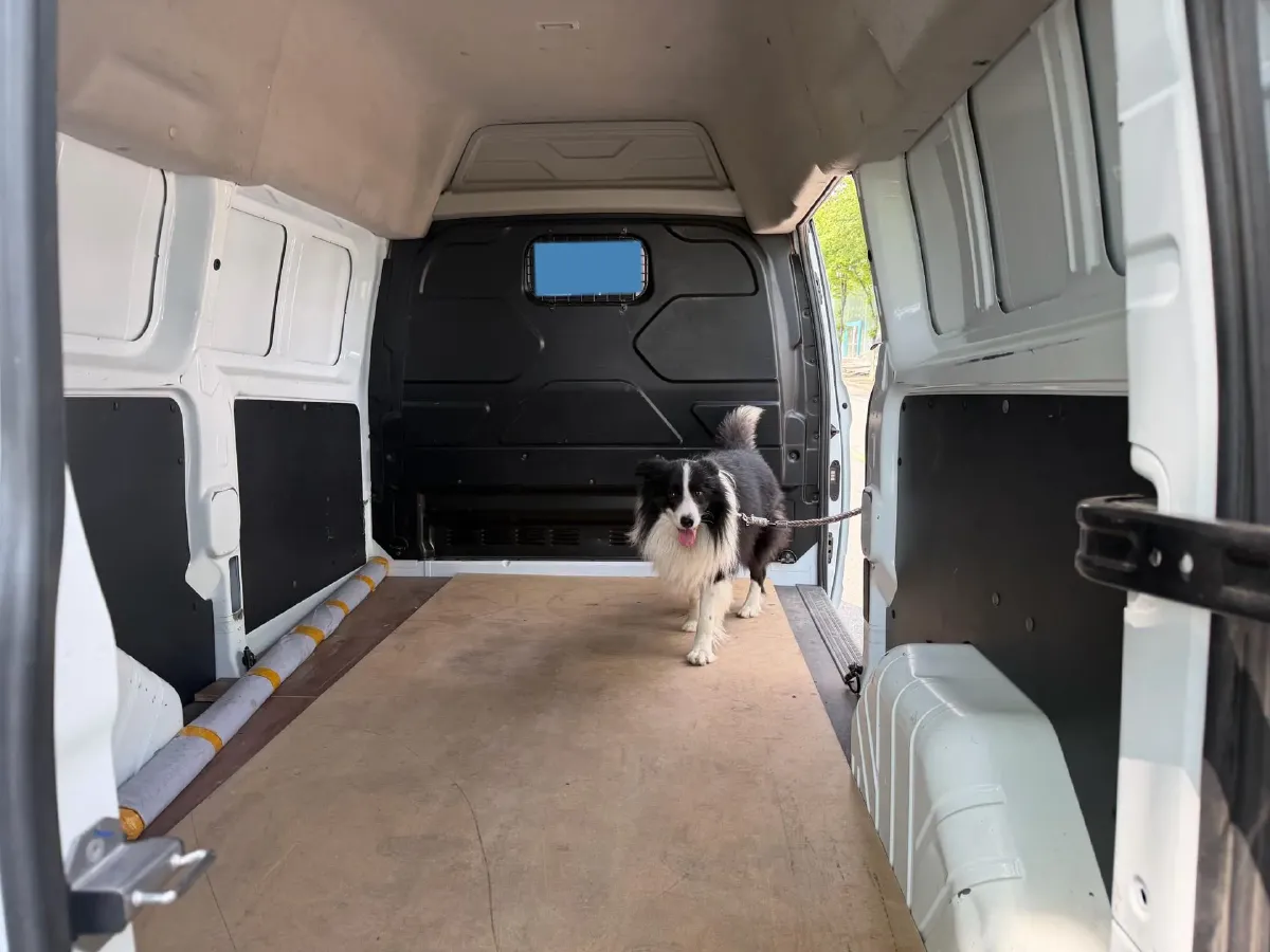 2017 Ford Transit 2.0T 121HP L4 5MT,autocango,china used car exporter,china ev exporter,chinese used car exporter,chinese used ev exporter