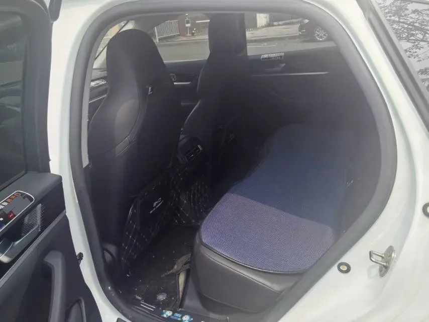 2021 DongFeng FuKang e Elysee BEV 38.4KWH,autocango,china used car exporter,china ev exporter,chinese used car exporter,chinese used ev exporter