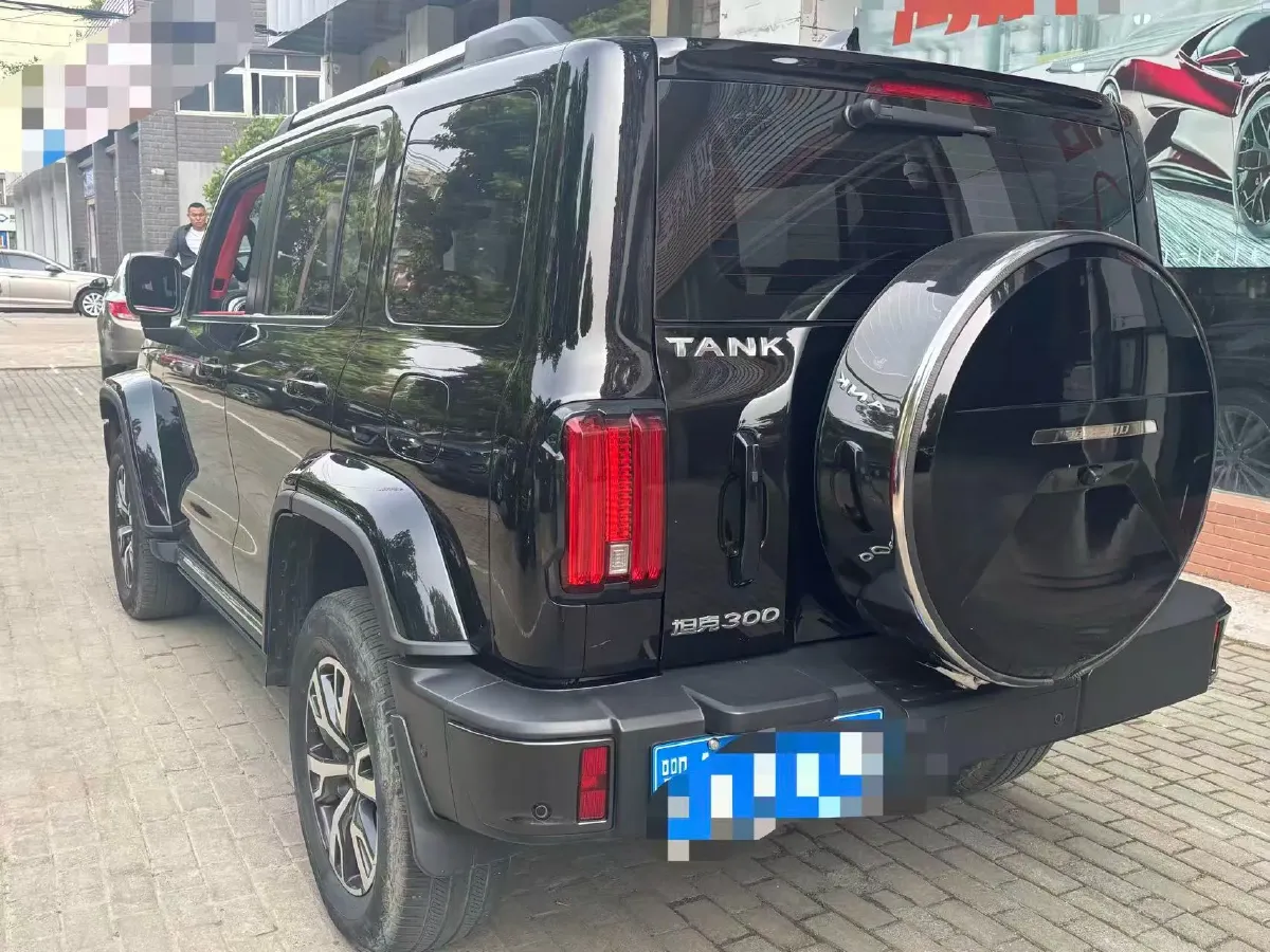 2021 Tank 300 2.0T 227HP L4 8AT,autocango,china used car exporter,china ev exporter,chinese used car exporter,chinese used ev exporter