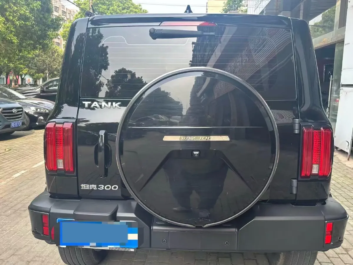2021 Tank 300 2.0T 227HP L4 8AT,autocango,china used car exporter,china ev exporter,chinese used car exporter,chinese used ev exporter