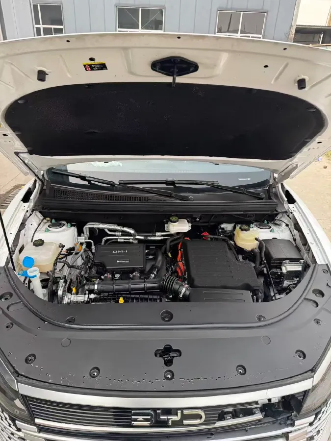 2025 BYD Sea Lion 05 DM-i 1.5L 101HP L4 E-CVT PHEV 12.9KWH,autocango,china used car exporter,china ev exporter,chinese used car exporter,chinese used ev exporter