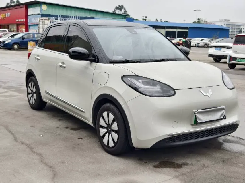 2023 WuLing BinGuo BEV 31.9KWH,autocango,china used car exporter,china ev exporter,chinese used car exporter,chinese used ev exporter