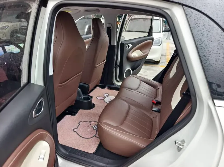 2023 WuLing BinGuo BEV 31.9KWH,autocango,china used car exporter,china ev exporter,chinese used car exporter,chinese used ev exporter