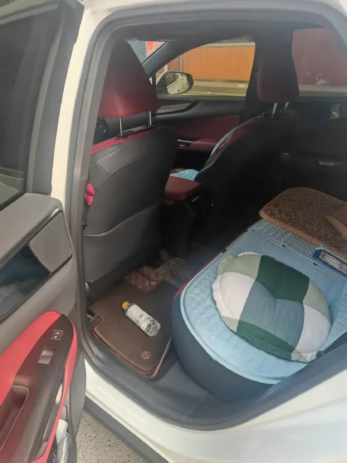 2022 Lexus NX 2.5L 205HP L4 8AT,autocango,china used car exporter,china ev exporter,chinese used car exporter,chinese used ev exporter