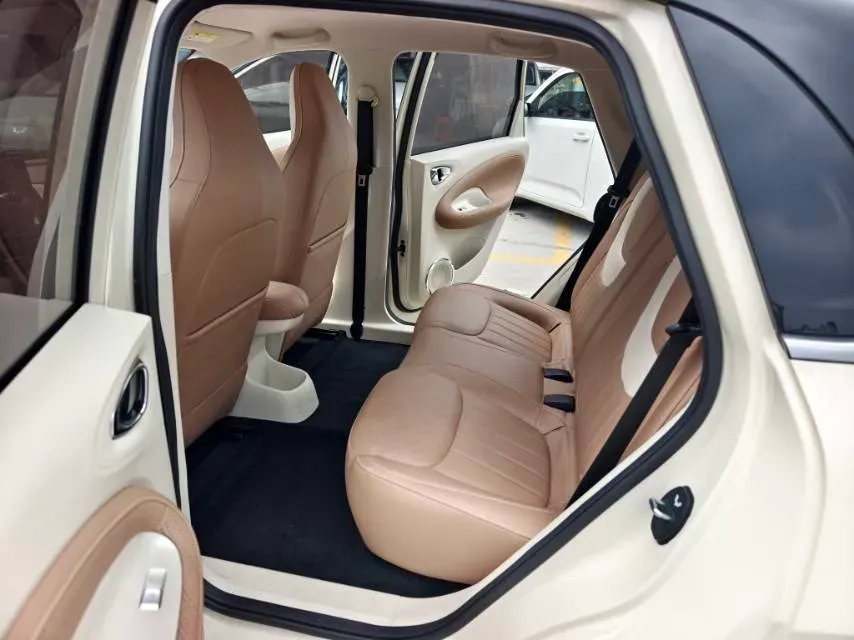 2024 WuLing BinGuo BEV 31.9KWH,autocango,china used car exporter,china ev exporter,chinese used car exporter,chinese used ev exporter