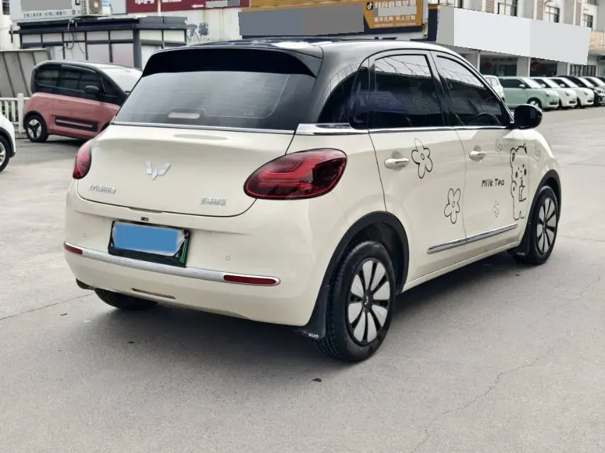 2024 WuLing BinGuo BEV 31.9KWH,autocango,china used car exporter,china ev exporter,chinese used car exporter,chinese used ev exporter