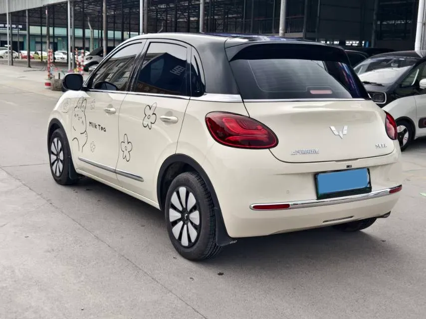 2024 WuLing BinGuo BEV 31.9KWH,autocango,china used car exporter,china ev exporter,chinese used car exporter,chinese used ev exporter