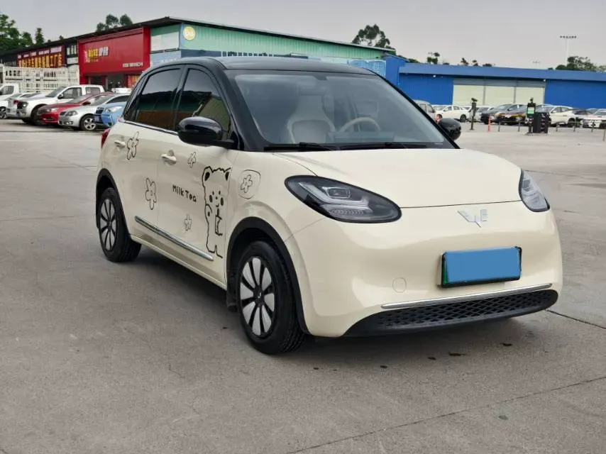 2024 WuLing BinGuo BEV 31.9KWH,autocango,china used car exporter,china ev exporter,chinese used car exporter,chinese used ev exporter