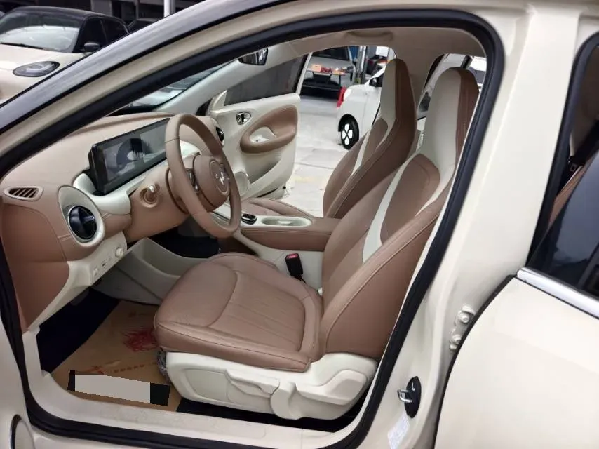 2024 WuLing BinGuo BEV 31.9KWH,autocango,china used car exporter,china ev exporter,chinese used car exporter,chinese used ev exporter