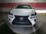 2020 Lexus NX 2.0L 150HP L4 CVT