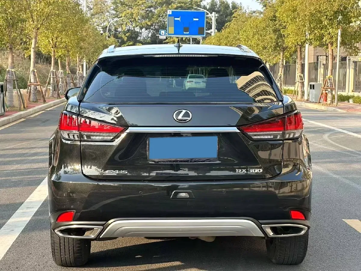 2020 Lexus RX 2.0T 231HP L4 6AT,autocango,china used car exporter,china ev exporter,chinese used car exporter,chinese used ev exporter