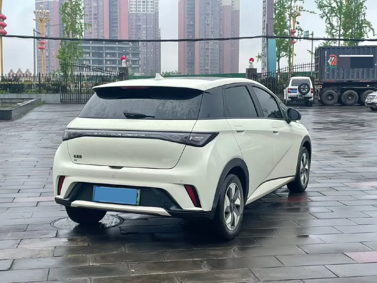 2025 BYD Dolphin BEV 44.928KWH,autocango,china used car exporter,china ev exporter,chinese used car exporter,chinese used ev exporter