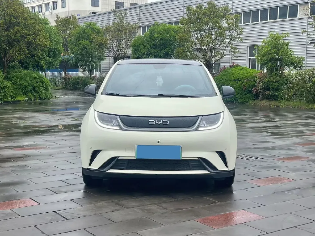 2025 BYD Dolphin BEV 44.928KWH,autocango,china used car exporter,china ev exporter,chinese used car exporter,chinese used ev exporter