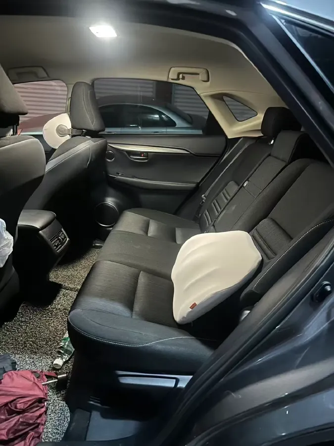 2020 Lexus NX 2.0L 150HP L4 CVT,autocango,china used car exporter,china ev exporter,chinese used car exporter,chinese used ev exporter