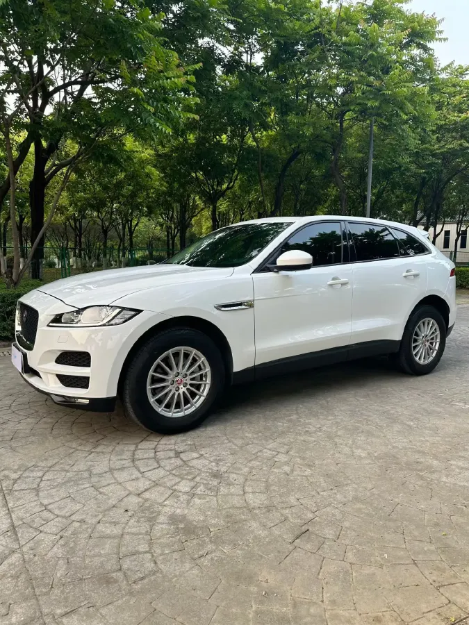 2018 Jaguar F-PACE 2.0T 250HP L4 8AT,autocango,china used car exporter,china ev exporter,chinese used car exporter,chinese used ev exporter