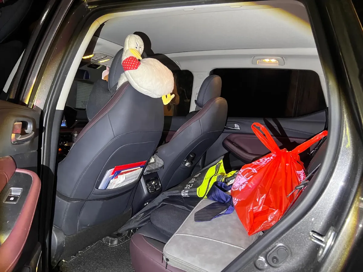 2020 GAC Trumpchi GS4 1.5T 169HP L4 6AT,autocango,china used car exporter,china ev exporter,chinese used car exporter,chinese used ev exporter