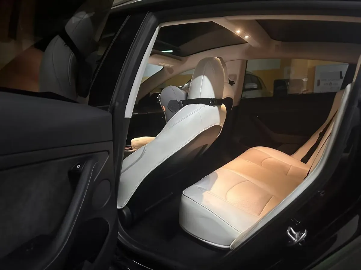 2022 Tesla Model 3 BEV 60KWH,autocango,china used car exporter,china ev exporter,chinese used car exporter,chinese used ev exporter