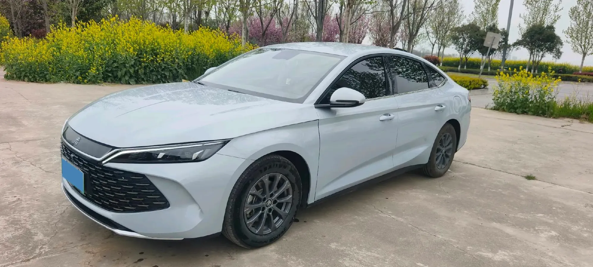 2024 BYD QinL 1.5L 101HP L4 E-CVT PHEV 10.08KWH,autocango,china used car exporter,china ev exporter,chinese used car exporter,chinese used ev exporter