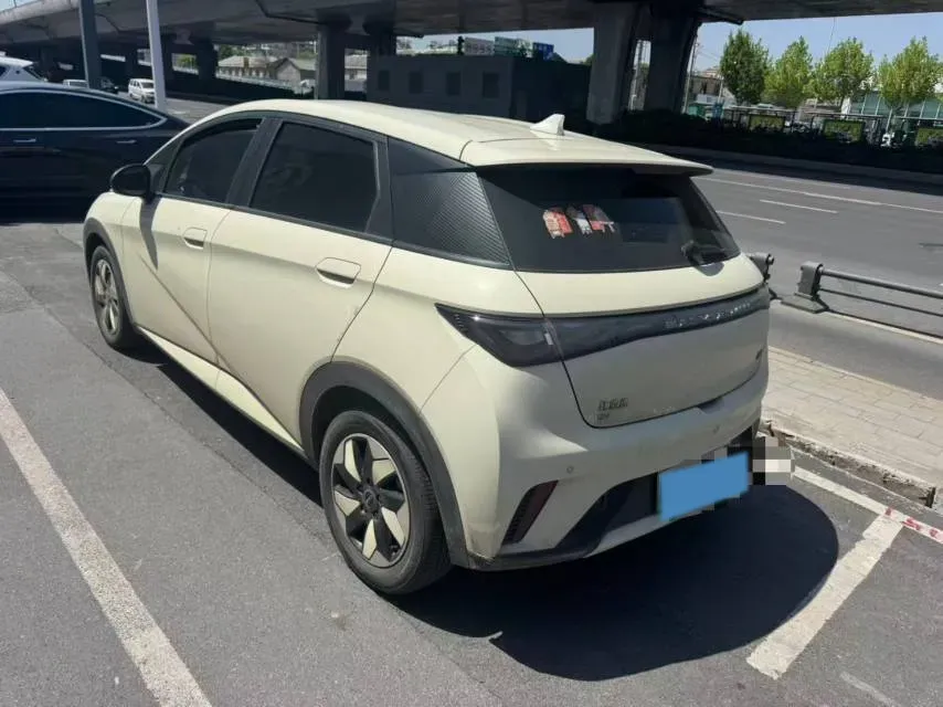 2024 BYD Dolphin BEV 44.928KWH,autocango,china used car exporter,china ev exporter,chinese used car exporter,chinese used ev exporter