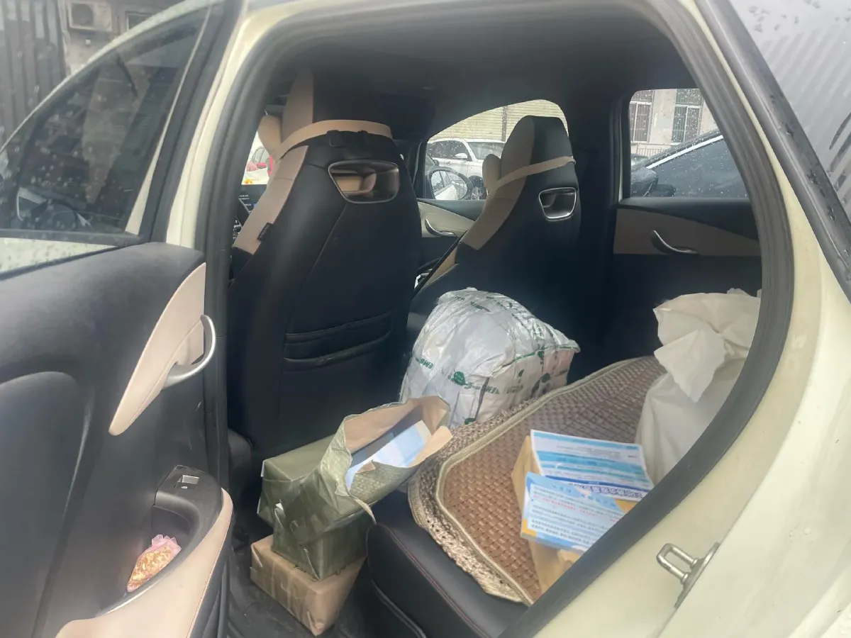 2023 BYD Dolphin BEV 44.928KWH,autocango,china used car exporter,china ev exporter,chinese used car exporter,chinese used ev exporter