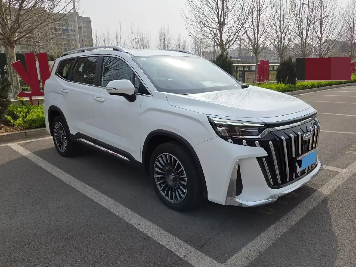 2025 Geely Okavango L 2.0T 218HP L4 7DCT,autocango,china used car exporter,china ev exporter,chinese used car exporter,chinese used ev exporter