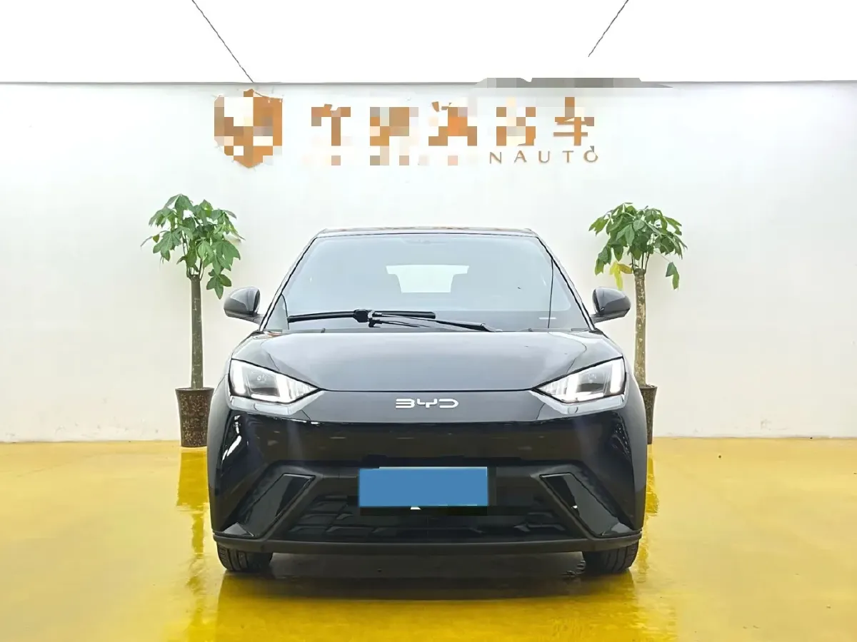 2024 BYD Seagull BEV 38.88KWH,autocango,china used car exporter,china ev exporter,chinese used car exporter,chinese used ev exporter