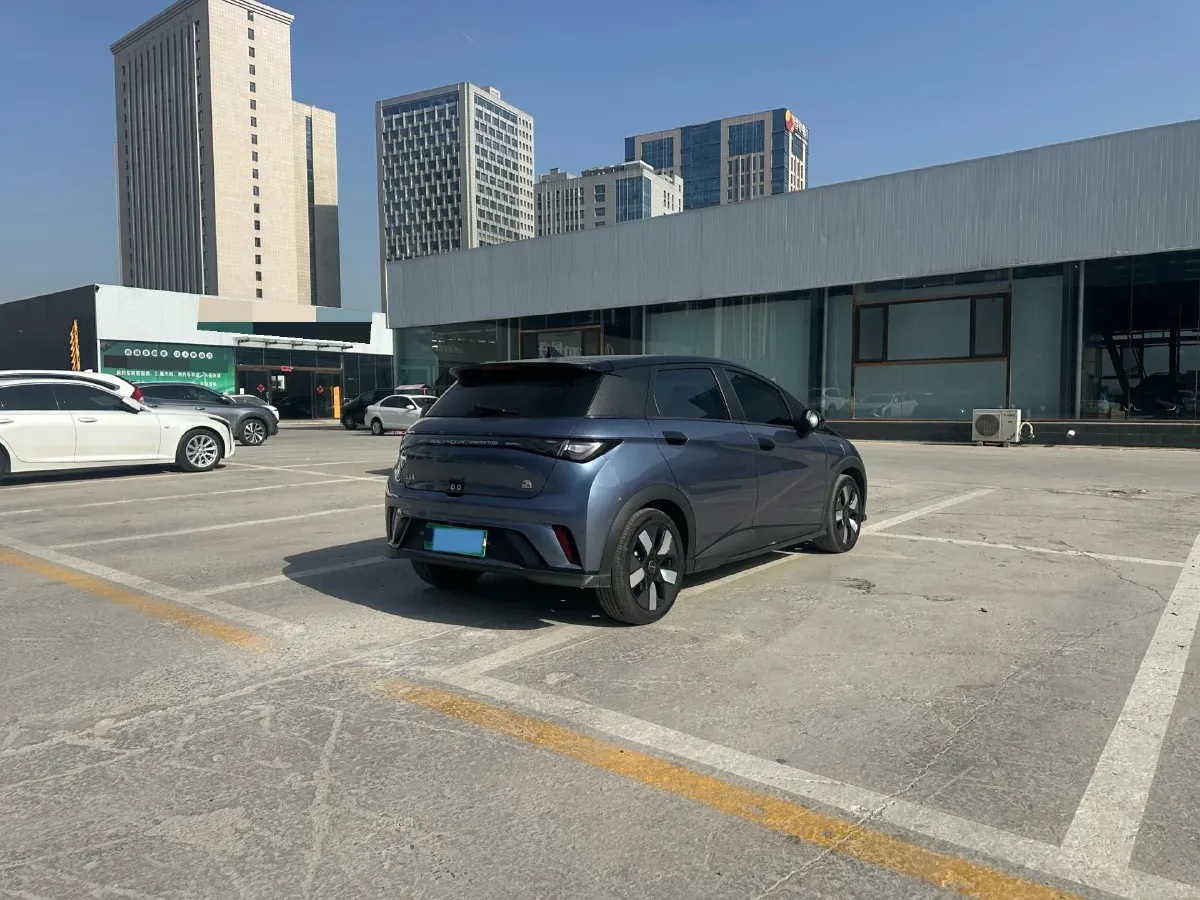 2023 BYD Dolphin BEV 44.928KWH,autocango,china used car exporter,china ev exporter,chinese used car exporter,chinese used ev exporter