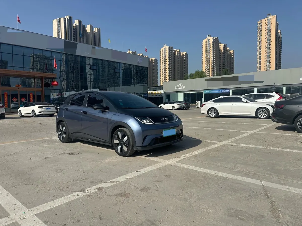 2023 BYD Dolphin BEV 44.928KWH,autocango,china used car exporter,china ev exporter,chinese used car exporter,chinese used ev exporter