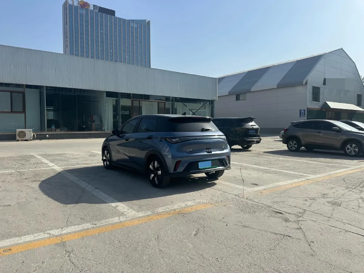 2023 BYD Dolphin BEV 44.928KWH,autocango,china used car exporter,china ev exporter,chinese used car exporter,chinese used ev exporter