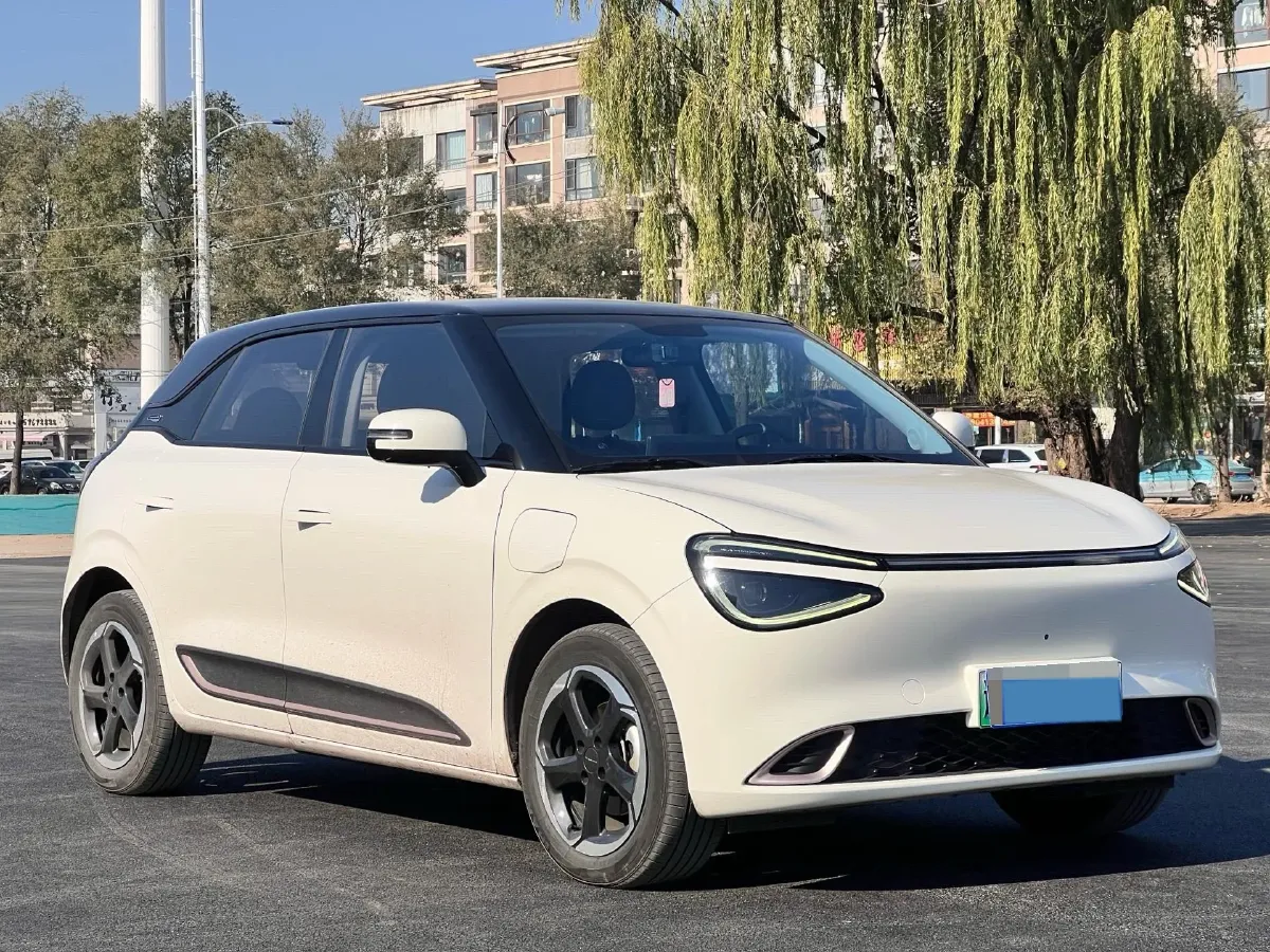 2024 DongFeng Nammi 01 BEV 42.3KWH,autocango,china used car exporter,china ev exporter,chinese used car exporter,chinese used ev exporter