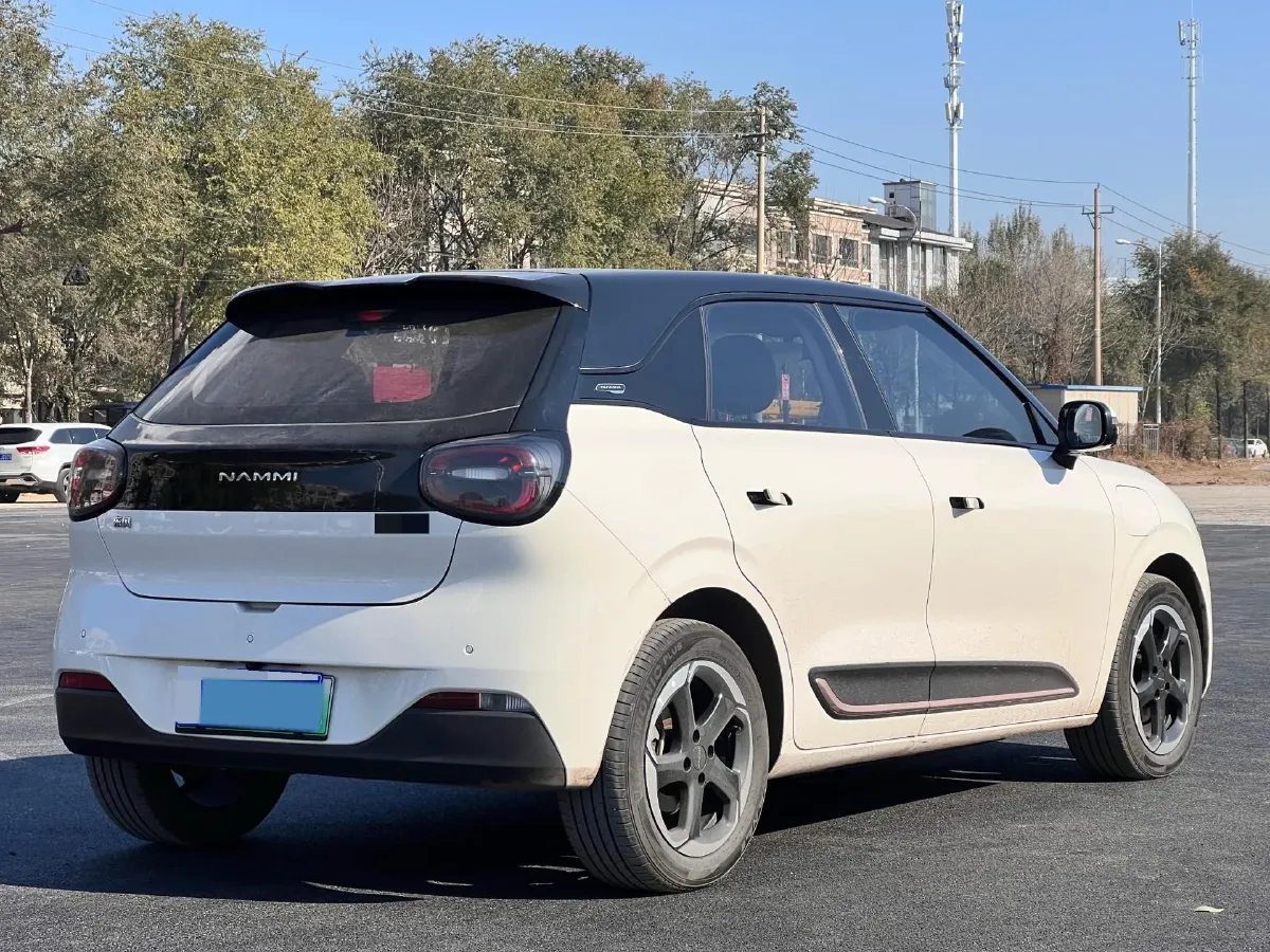 2024 DongFeng Nammi 01 BEV 42.3KWH,autocango,china used car exporter,china ev exporter,chinese used car exporter,chinese used ev exporter
