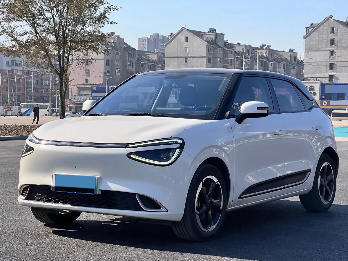 2024 DongFeng Nammi 01 BEV 42.3KWH,autocango,china used car exporter,china ev exporter,chinese used car exporter,chinese used ev exporter