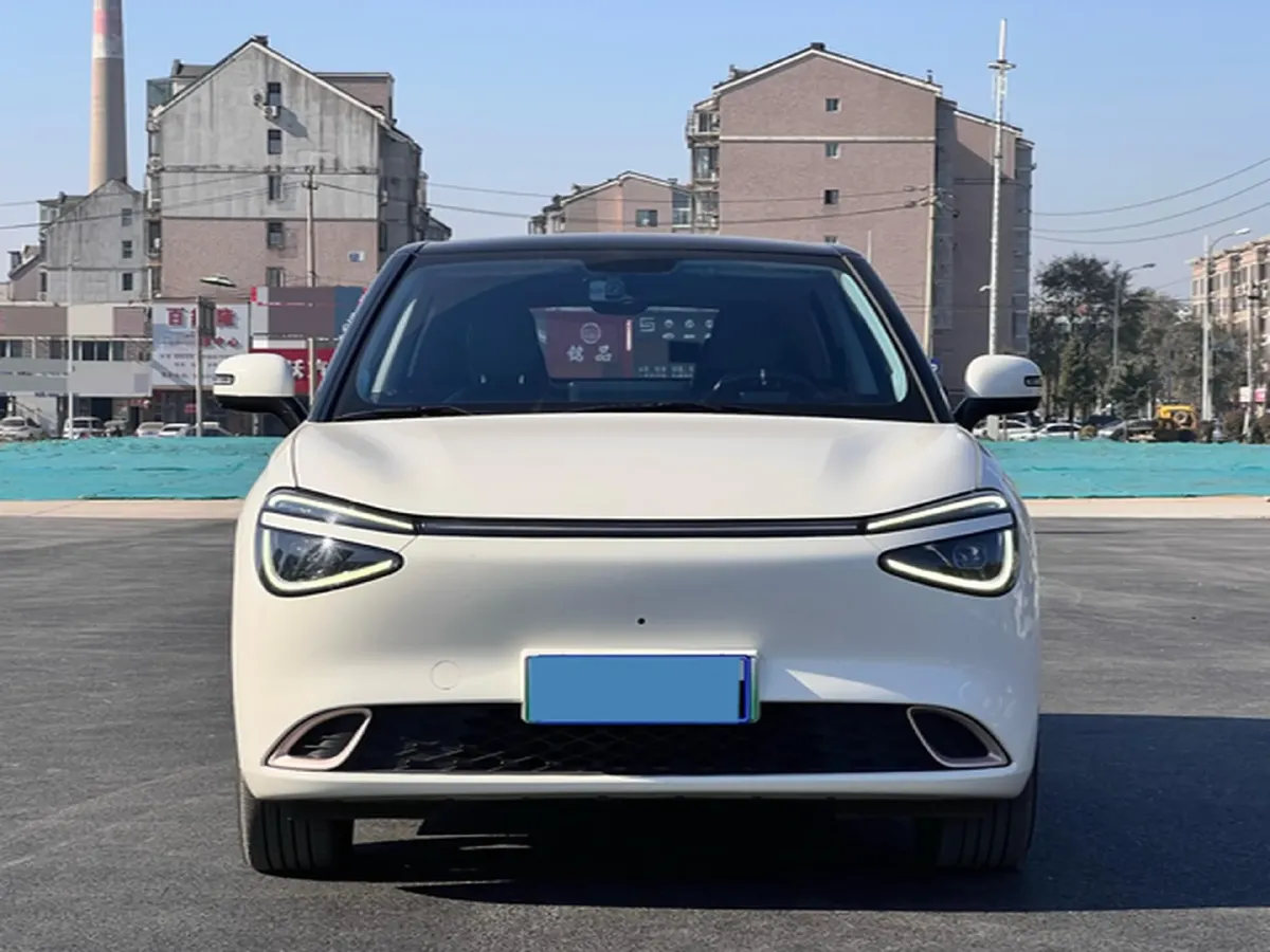 2024 DongFeng Nammi 01 BEV 42.3KWH,autocango,china used car exporter,china ev exporter,chinese used car exporter,chinese used ev exporter