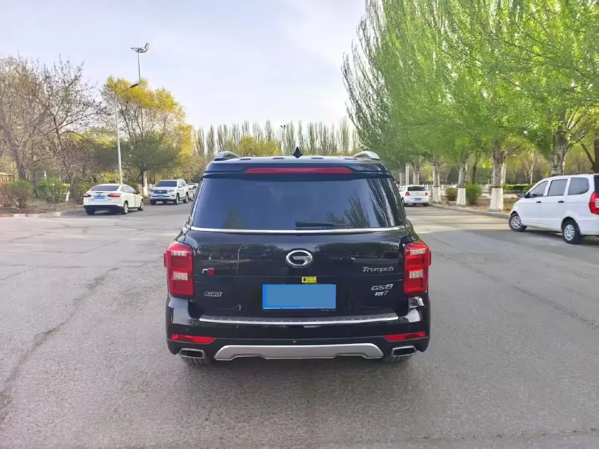 2017 GAC Trumpchi GS8 2.0T 201HP L4 6AT,autocango,china used car exporter,china ev exporter,chinese used car exporter,chinese used ev exporter
