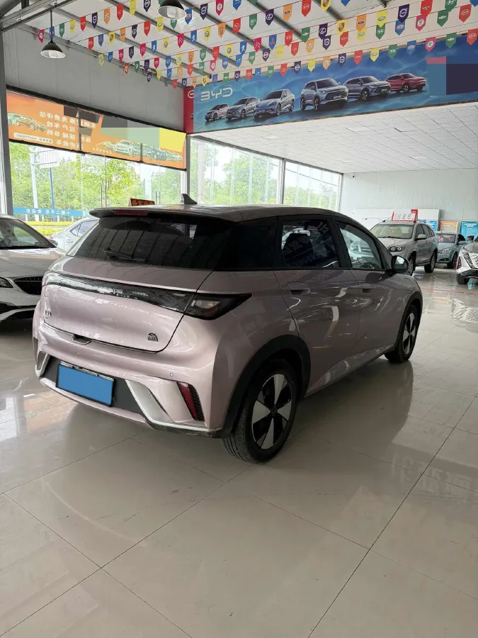 2023 BYD Dolphin BEV 44.928KWH,autocango,china used car exporter,china ev exporter,chinese used car exporter,chinese used ev exporter