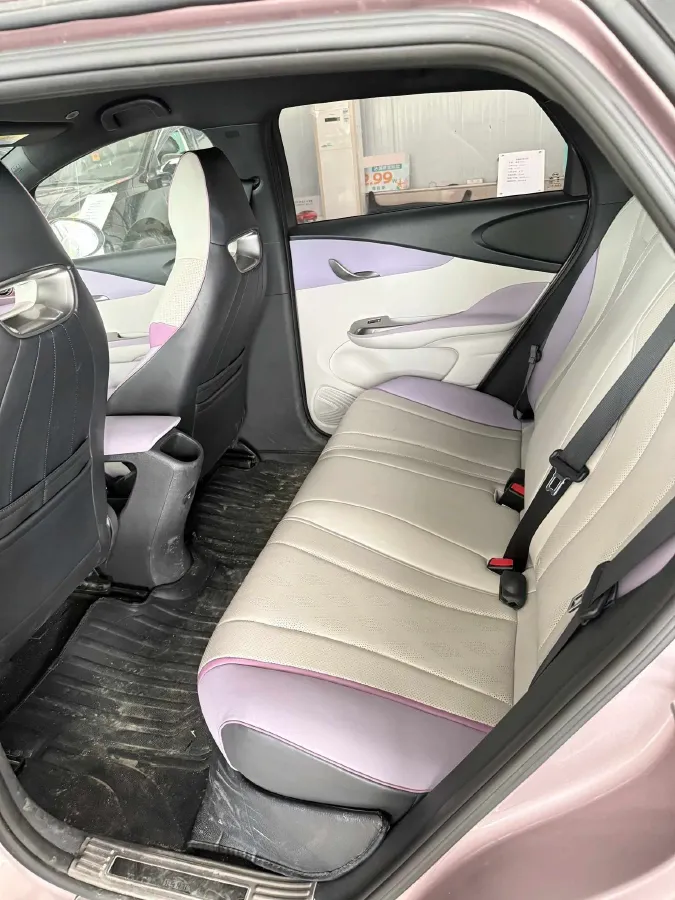 2023 BYD Dolphin BEV 44.928KWH,autocango,china used car exporter,china ev exporter,chinese used car exporter,chinese used ev exporter