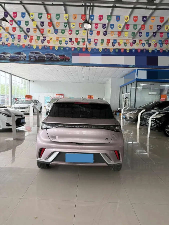 2023 BYD Dolphin BEV 44.928KWH,autocango,china used car exporter,china ev exporter,chinese used car exporter,chinese used ev exporter
