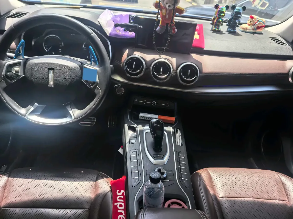 2018 WEY VV6 2.0T 197HP L4 7DCT,autocango,china used car exporter,china ev exporter,chinese used car exporter,chinese used ev exporter