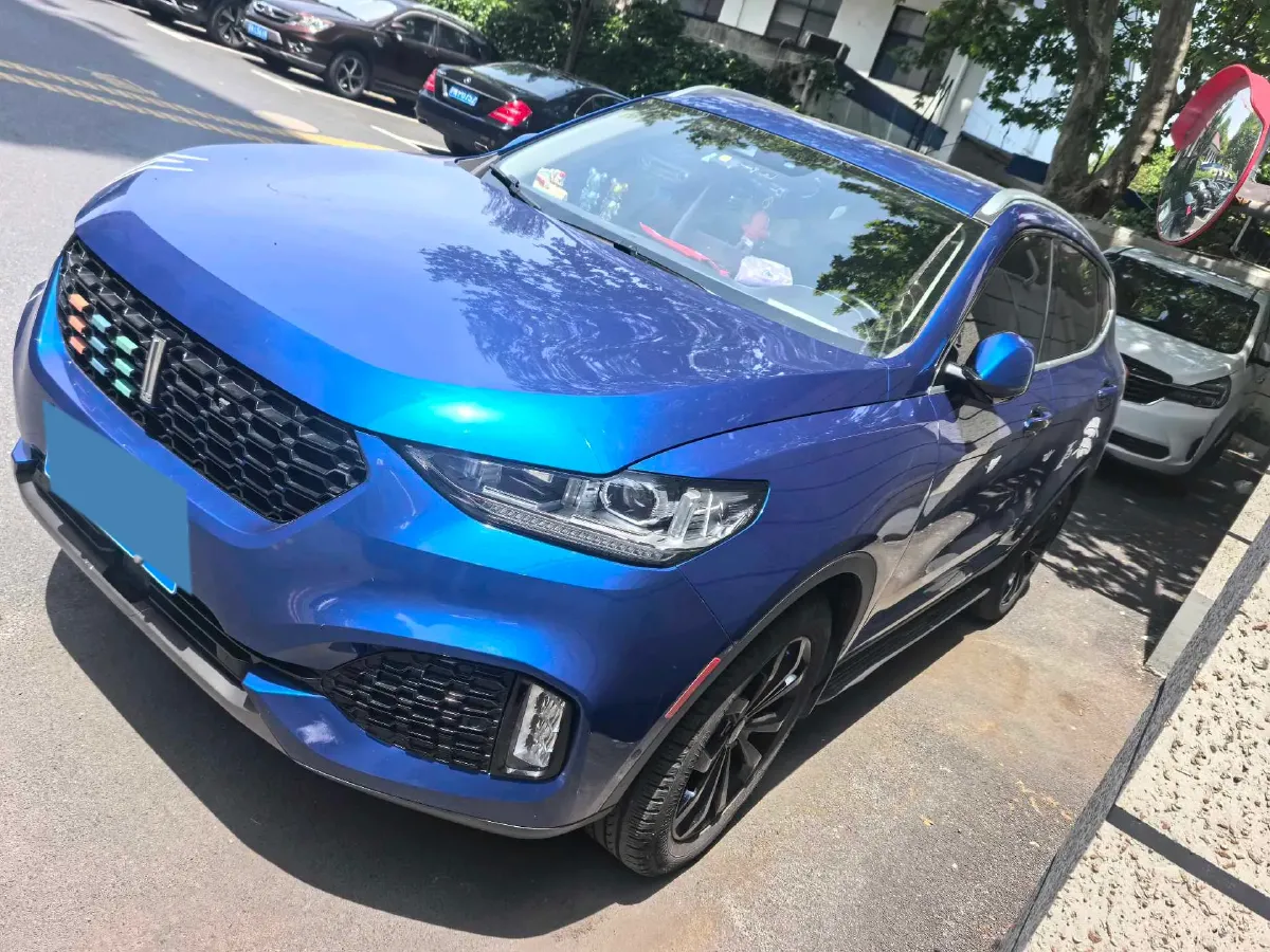2018 WEY VV6 2.0T 197HP L4 7DCT,autocango,china used car exporter,china ev exporter,chinese used car exporter,chinese used ev exporter