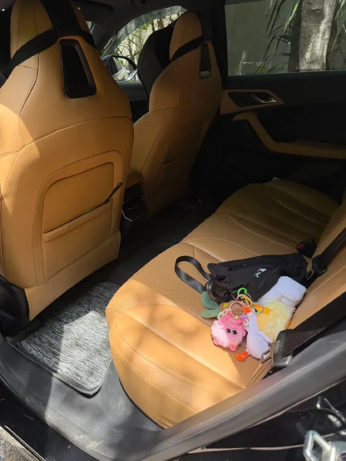 2023 DongFeng Forthing S50EV BEV 57.2KWH,autocango,china used car exporter,china ev exporter,chinese used car exporter,chinese used ev exporter