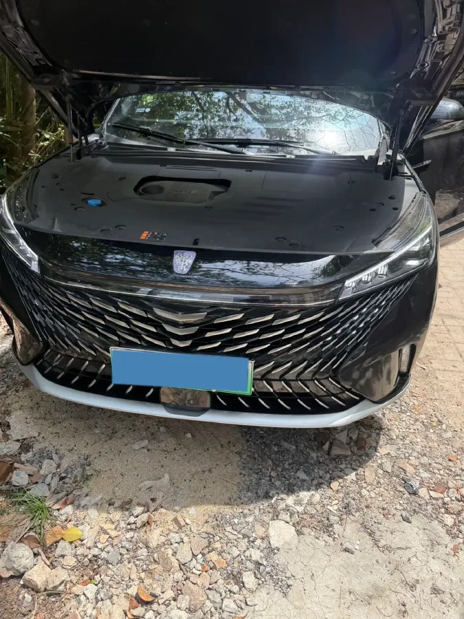 2023 DongFeng Forthing S50EV BEV 57.2KWH,autocango,china used car exporter,china ev exporter,chinese used car exporter,chinese used ev exporter