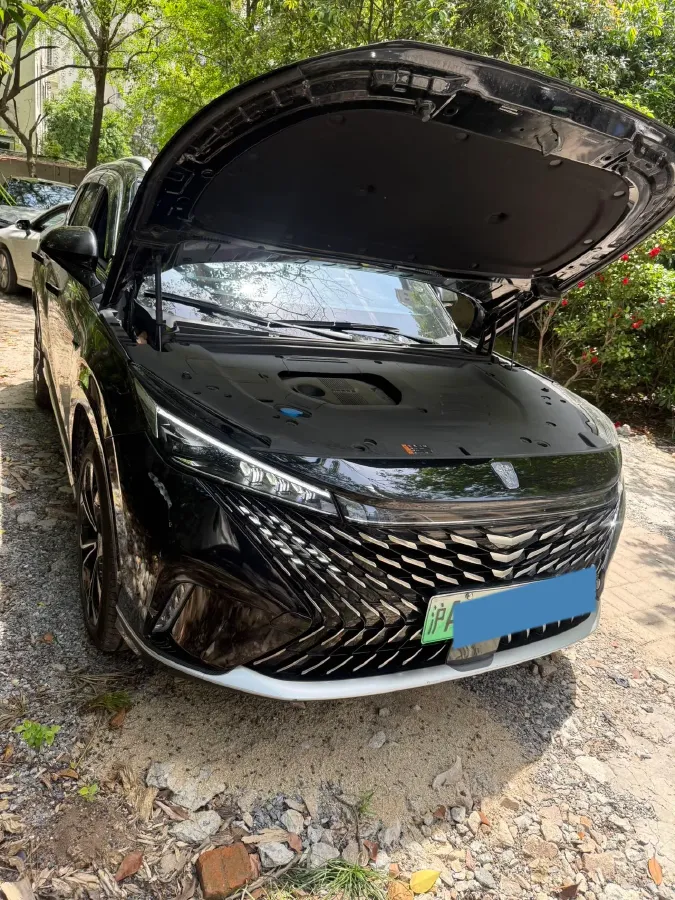 2023 DongFeng Forthing S50EV BEV 57.2KWH,autocango,china used car exporter,china ev exporter,chinese used car exporter,chinese used ev exporter
