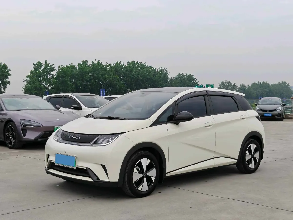 2023 BYD Dolphin BEV 44.928KWH,autocango,china used car exporter,china ev exporter,chinese used car exporter,chinese used ev exporter